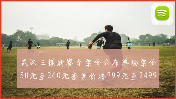 武汉三镇新赛季票价公布单场票价50元至260元套票价格799元至2499元