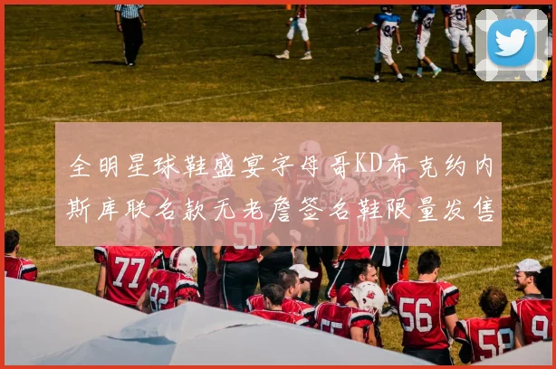 全明星球鞋盛宴字母哥KD布克约内斯库联名款无老詹签名鞋限量发售