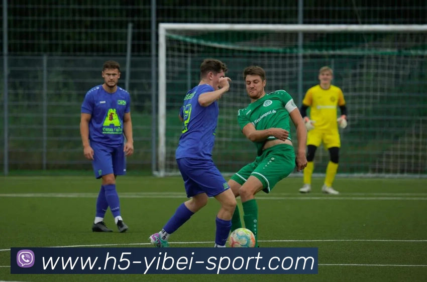 App Interface Preview