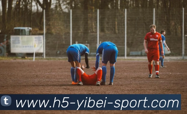 易倍体育APP 封面图